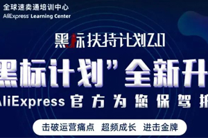 全球跨境电商资讯快车 Vol.17